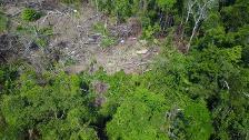 Un dron capta las imágenes de una tribu indígena aislada de Brasil