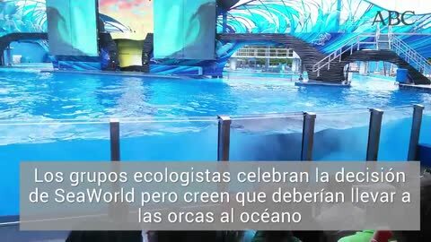Imagen tomada en marzo de 2011 que muestra a la orca «Tilikum»