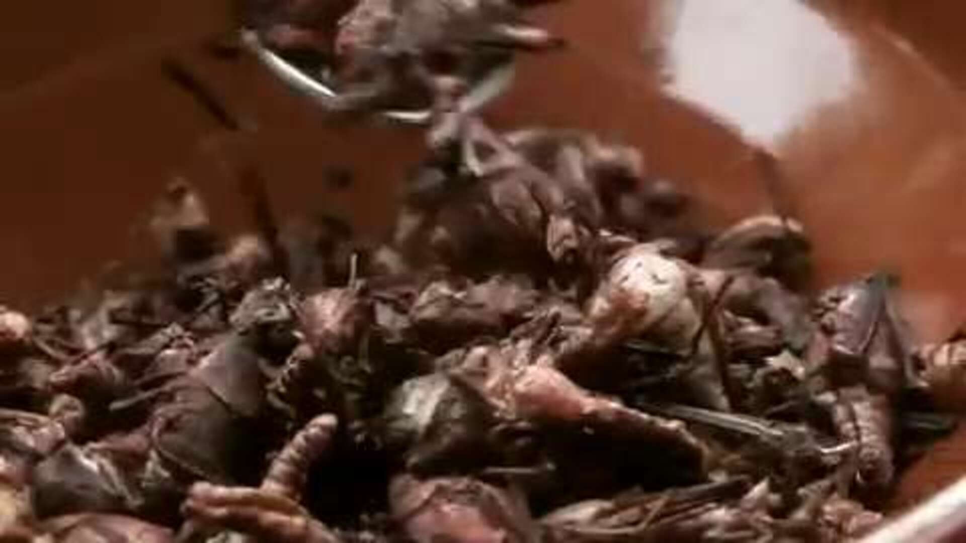 ¡Marchando una de saltamontes!