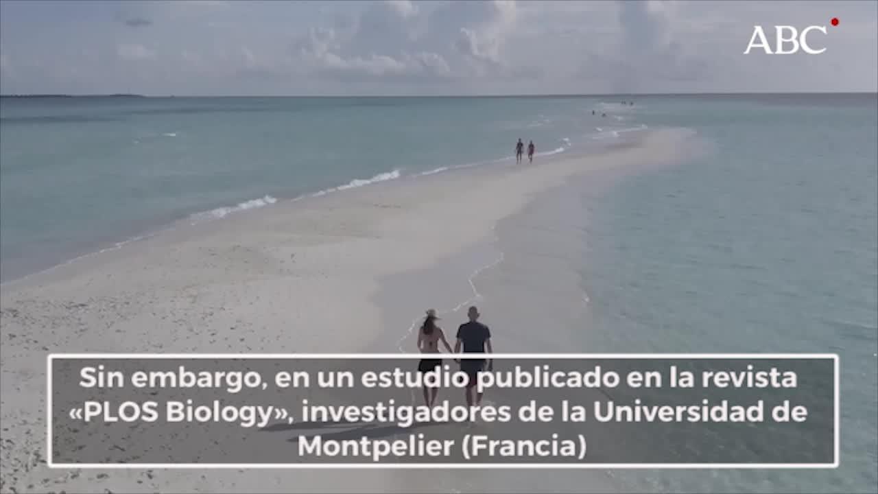 El acto sexual, una estrategia frente al cáncer transmisible