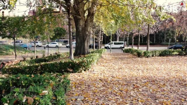 La Cuesta de Moyano, alfombrada de hojas