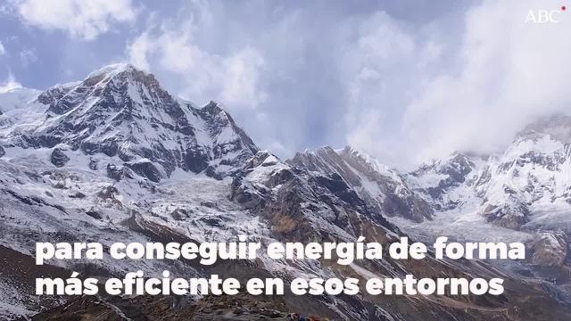 A elevadas altitudes la presión atmosférica cae y disminuye la cantidad de oxígeno disponible para respirar