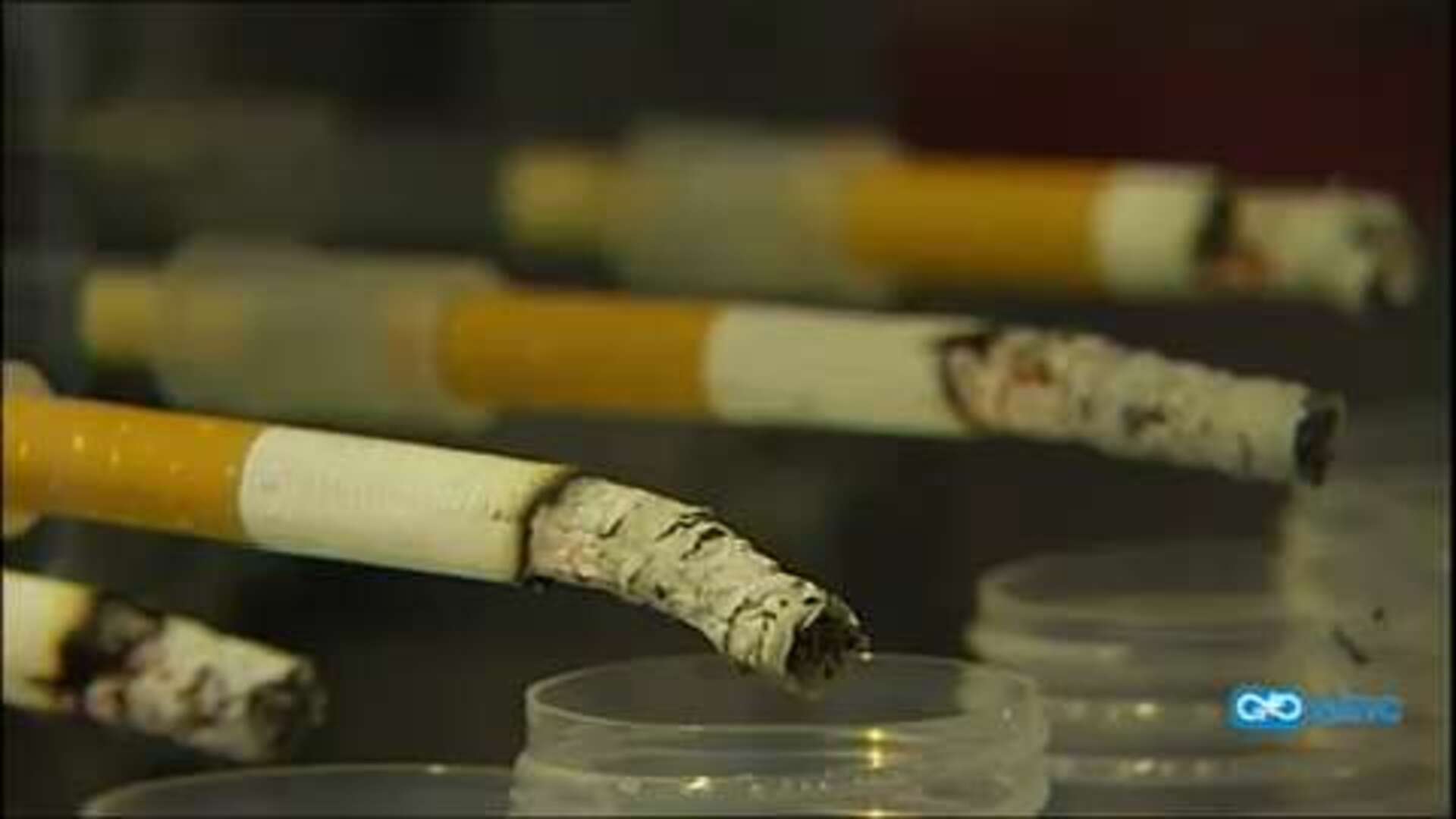 El tabaco presenta compuestos muy tóxicos que no regula la legislación