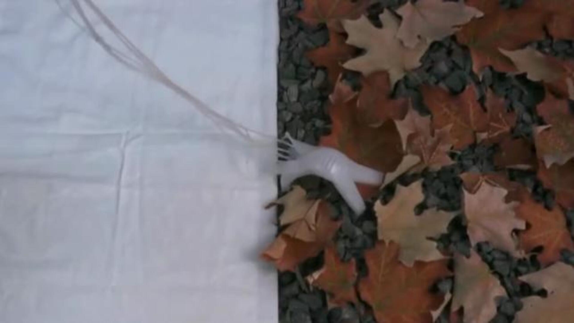 Crean robots flexibles que cambian de color para camuflarse