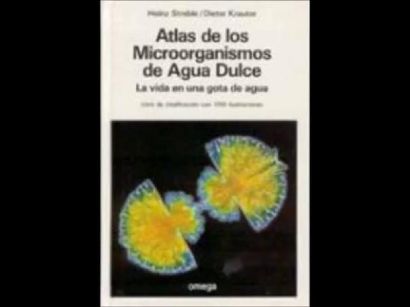 Tres adolescentes españoles ganan el concurso científico de Google