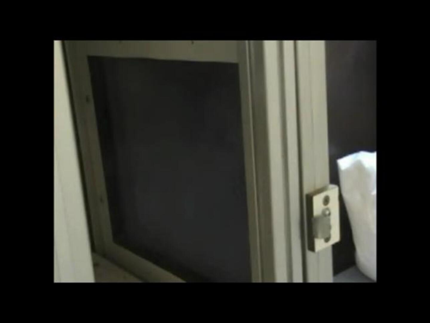 Los babuinos pueden leer (o casi)