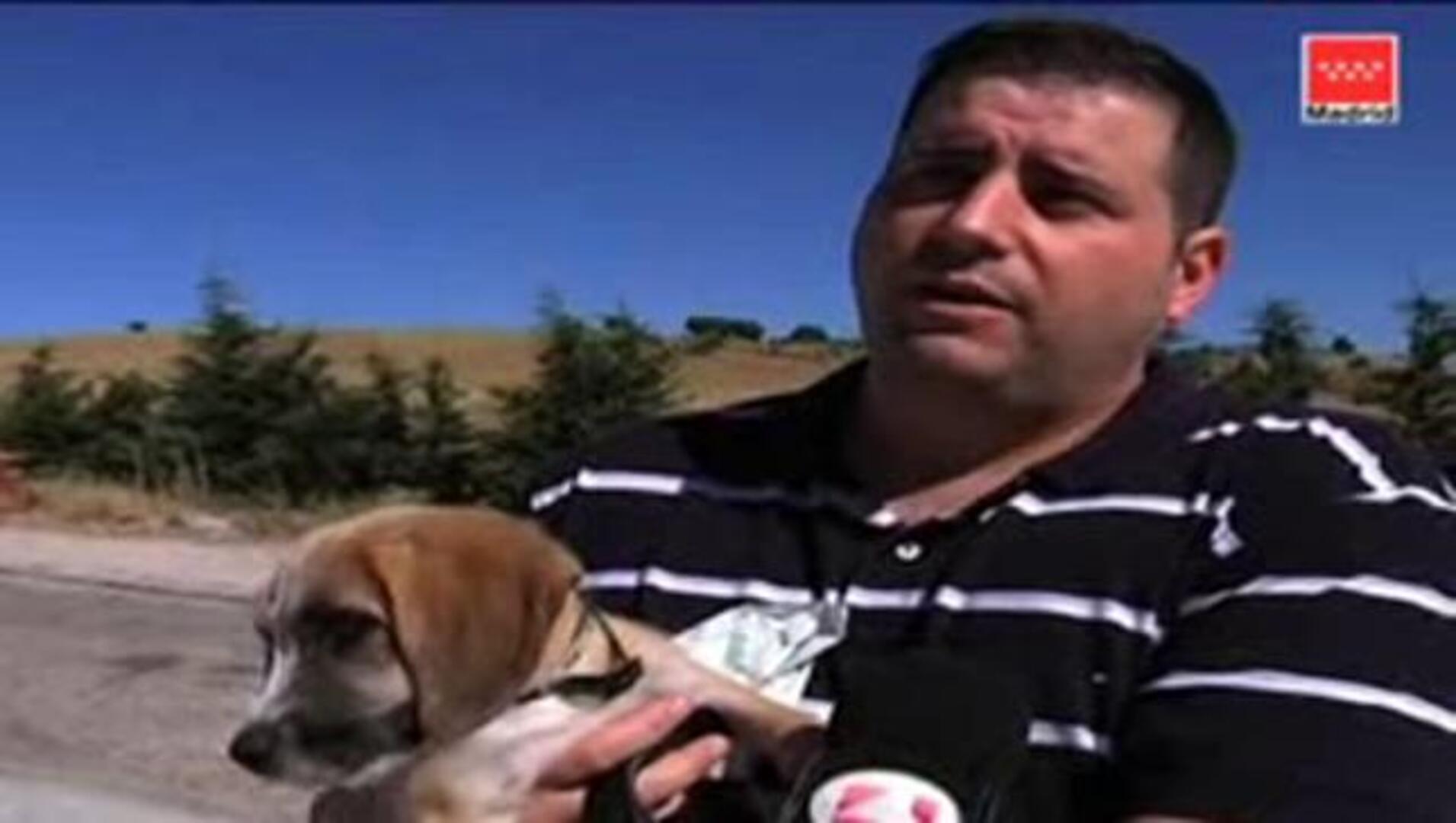 Crece la adopción de mascotas en la Comunidad