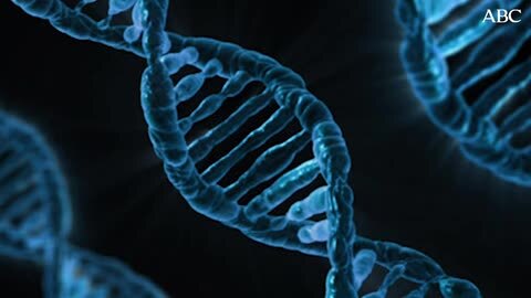 Así ha creado Craig Venter vida artificial