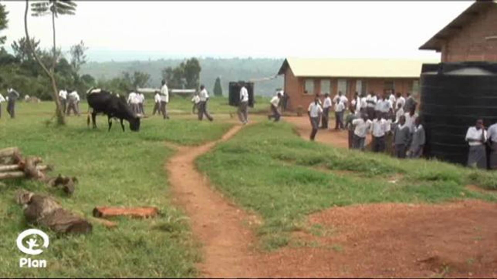 Un millón de niños en el mundo sufre violencia en la escuela