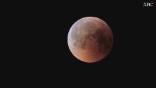 Video: Evolución del eclipse lunar a vista de telescopio