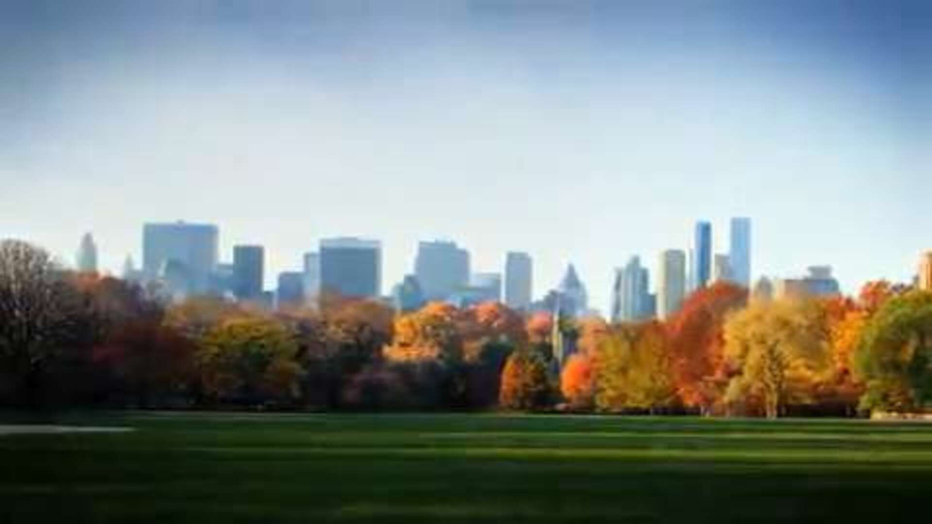 Un trabajo fotográfico de seis meses recoge toda la belleza de Central Park