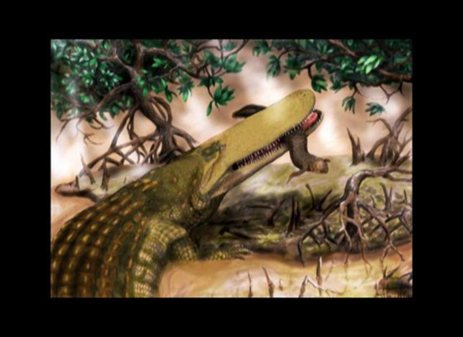 Descubren una nueva especie de cocodrilo acorazado