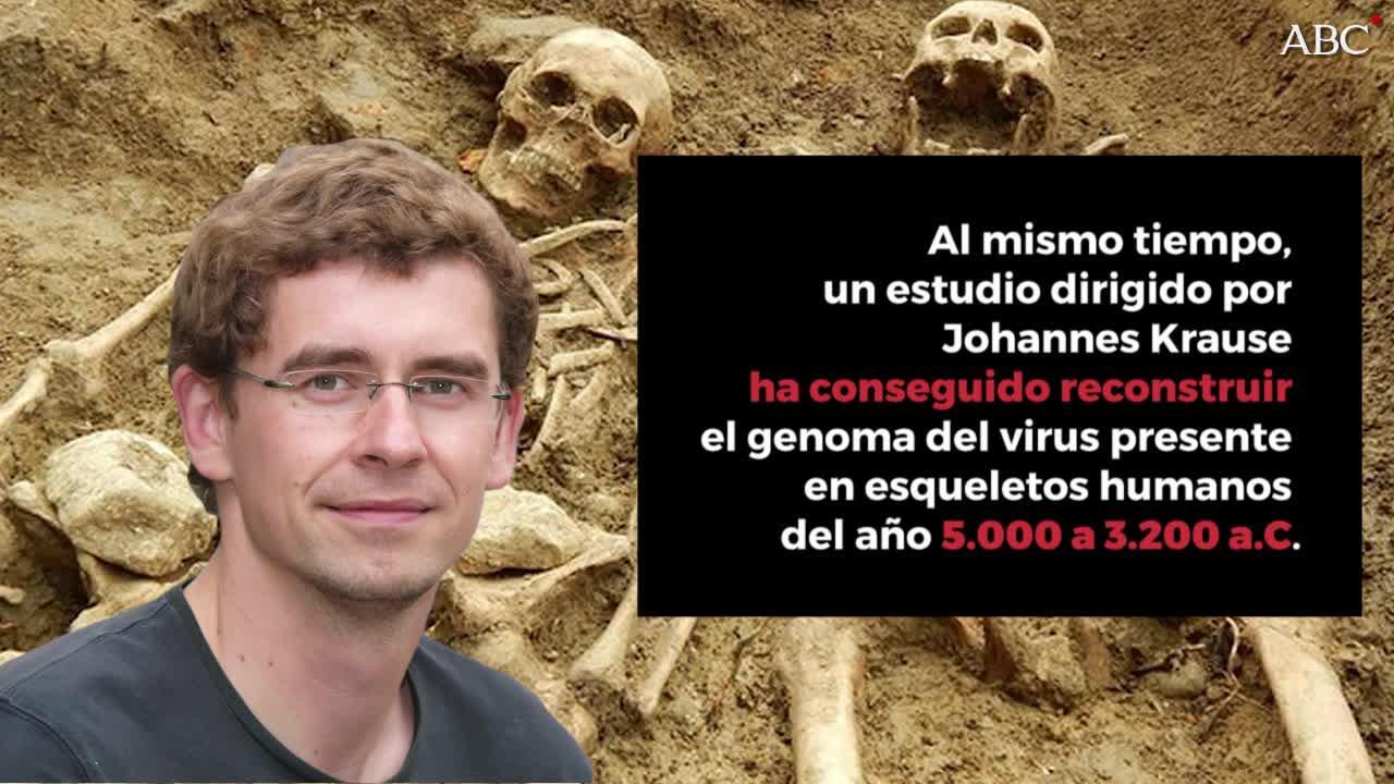 El origen de la hepatitis B