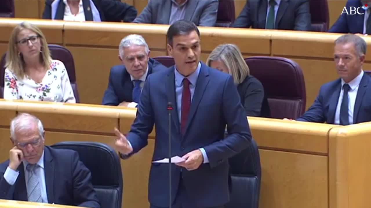 Pedro Sánchez en el Senado