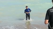 Un veterinario del Oceanogràfic salva de morir ahogada a una tortuga herida en una playa de Almenara