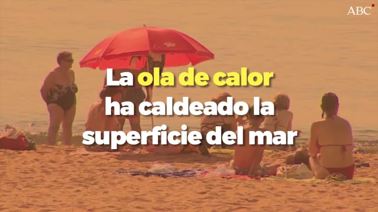 El agua del Mediterráneo y del Cantábrico está hasta 4ºC más caliente de lo normal