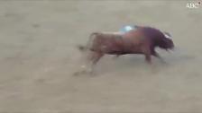 El torero Juan José Padilla es trasladado desde Ávila a Sevilla tras descartarse daños en la cabeza