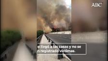 Espectacular incendio en el pinar de Arroyomolinos