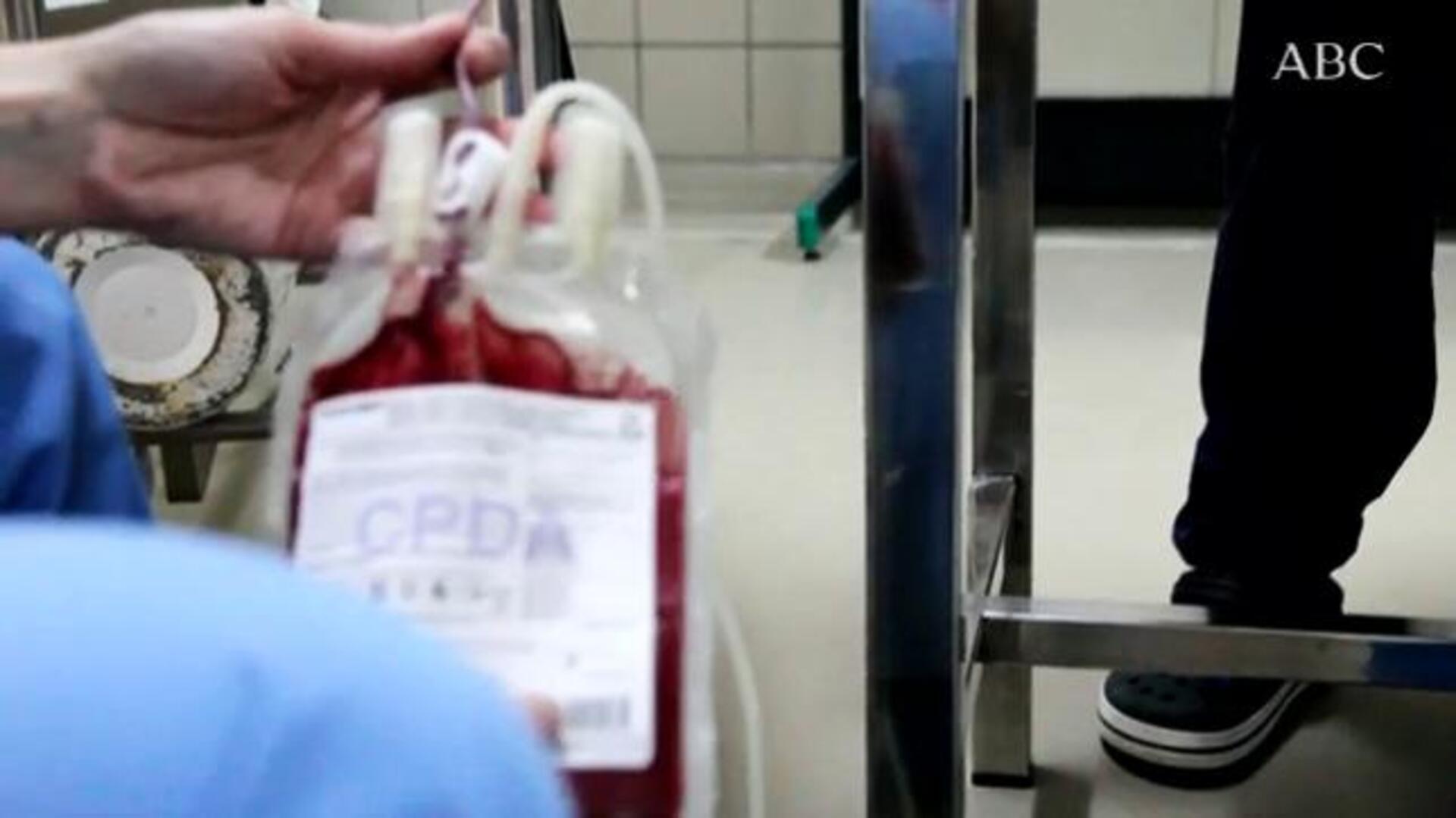 Así funciona un banco de sangre animal