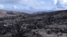 Viaje al corazón del peor incendio de los últimos nueve años