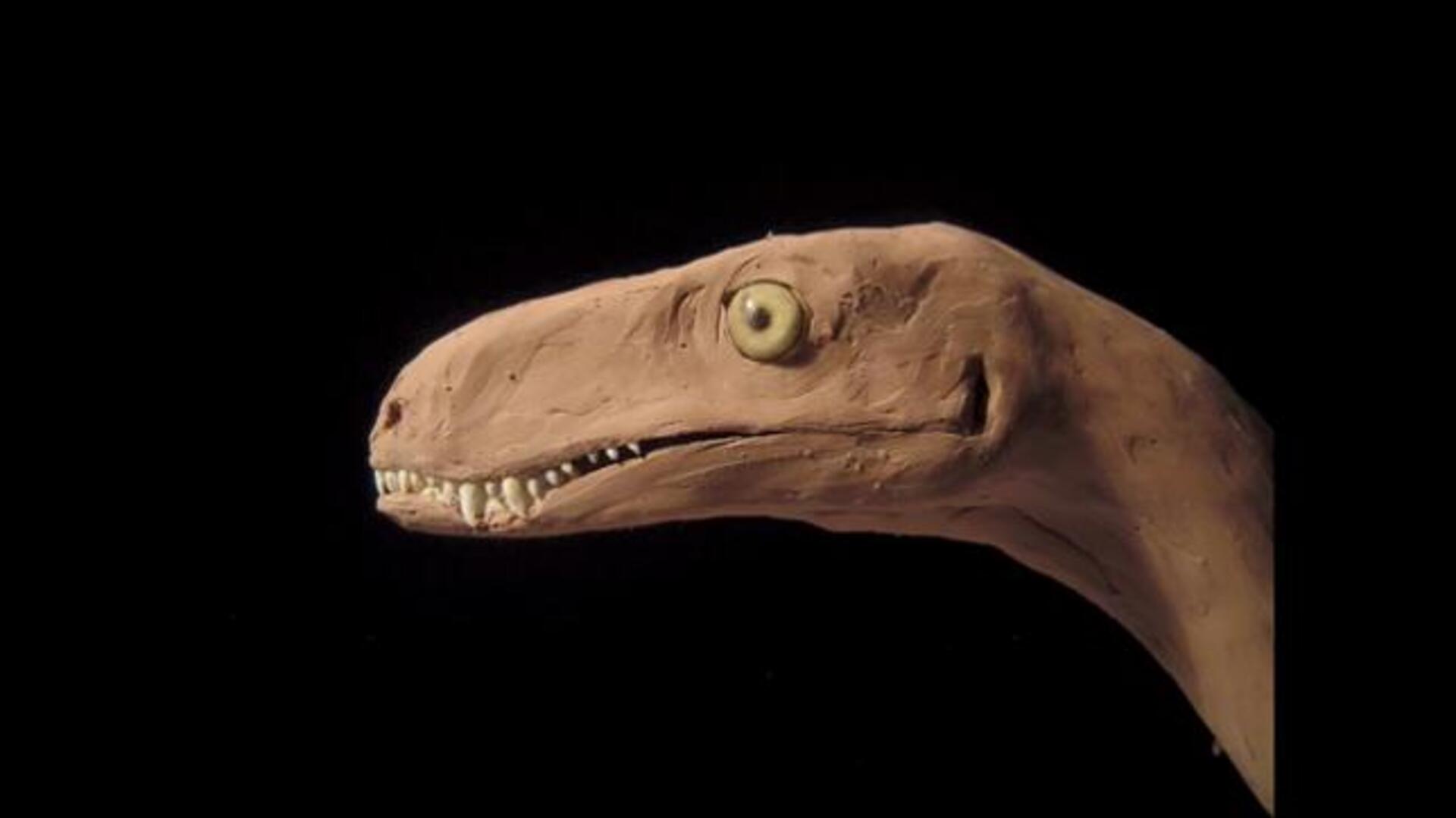 Descubren un nuevo dinosaurio corredor