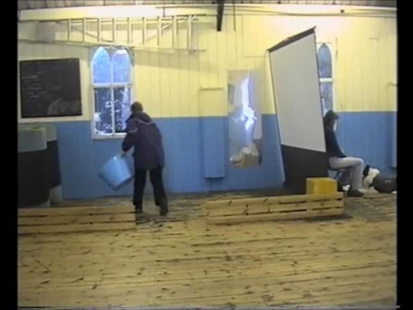 ¿Por qué tu perro te trae una zapatilla cuando tú le pides la pelota?