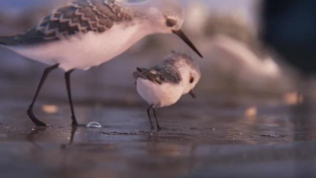 Vídeo: Vea el trailer y debajo el enlace al corto completo