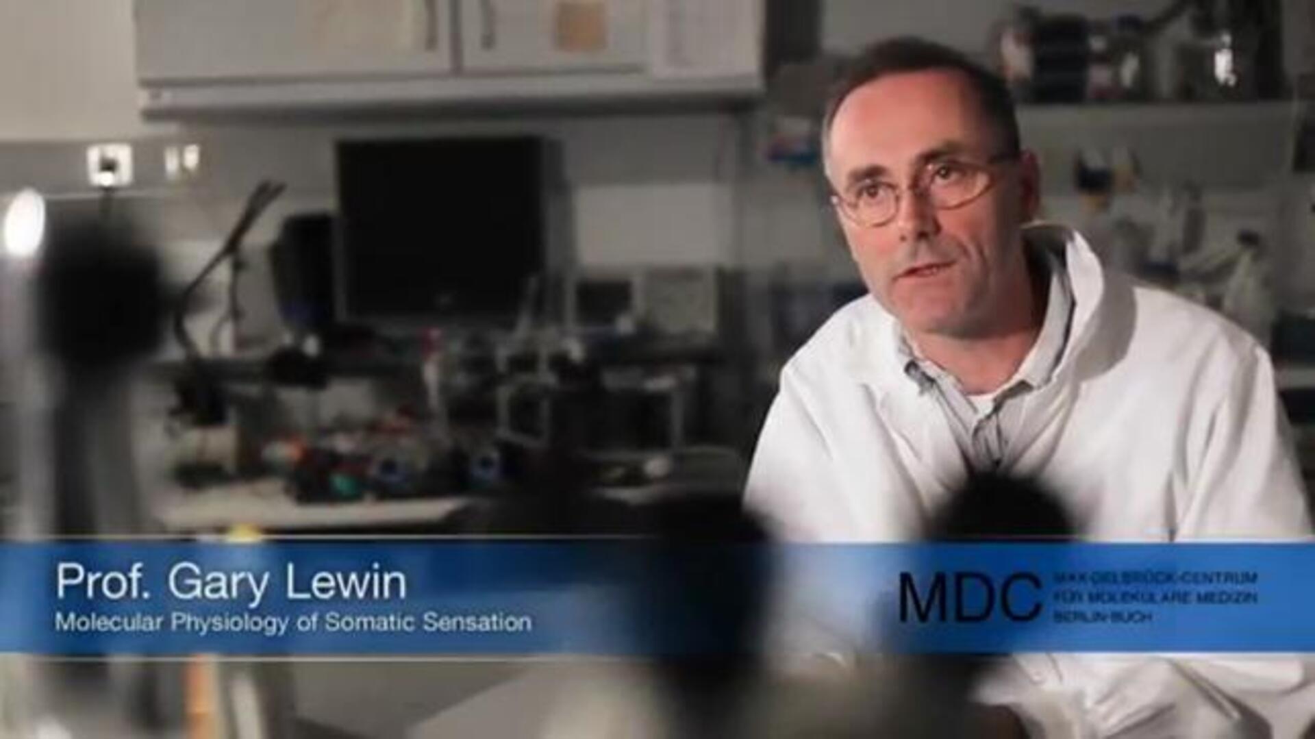 La extraña rata «desnuda» que resiste al ácido