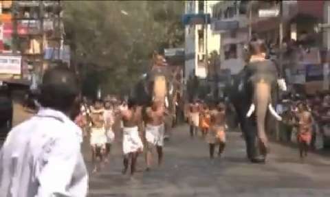 Un elefante de 36 años gana por novena vez consecutiva una carrera