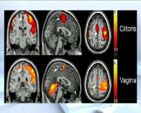 El orgasmo femenino ya «tiene mapa»
