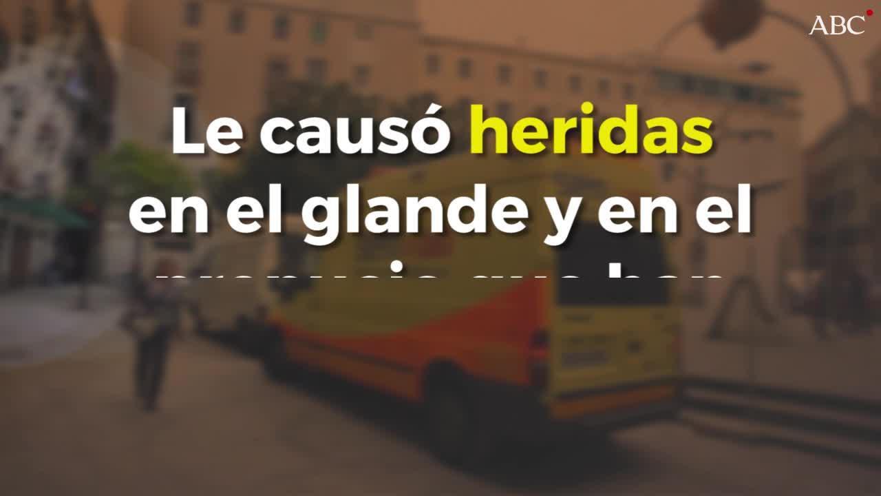 Un perro le desgarra el pene de un mordisco a un hombre que lo había maltratado