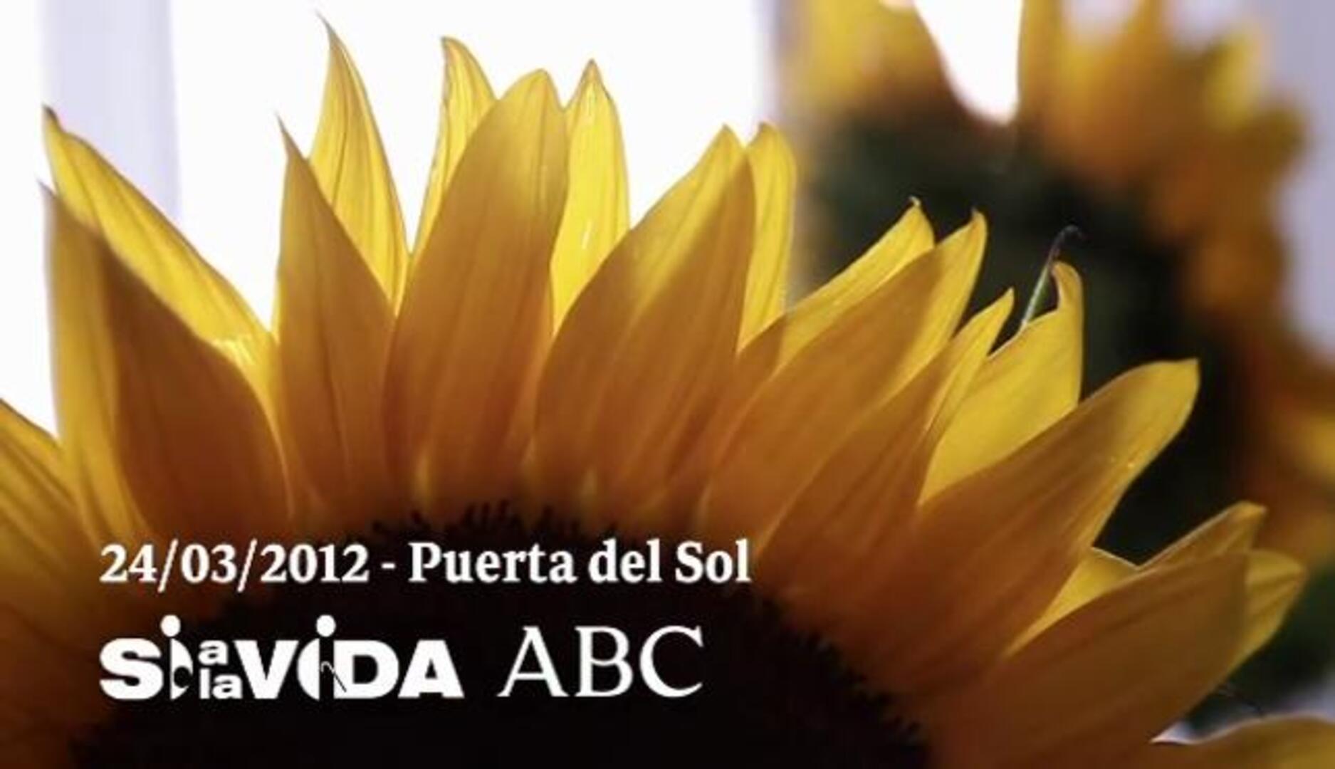 Cuarenta ciudades españolas tienen este sábado una cita con la vida