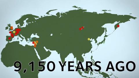 Los perros fueron domesticados dos veces en distintos puntos del mundo