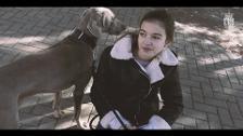 Pozuelo lanza una nueva campaña de sensibilización para la recogida de excrementos caninos