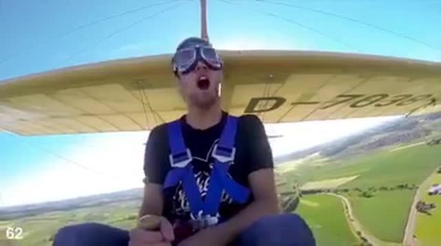 Desde el perro paracaidista, hasta el baile de los pechos