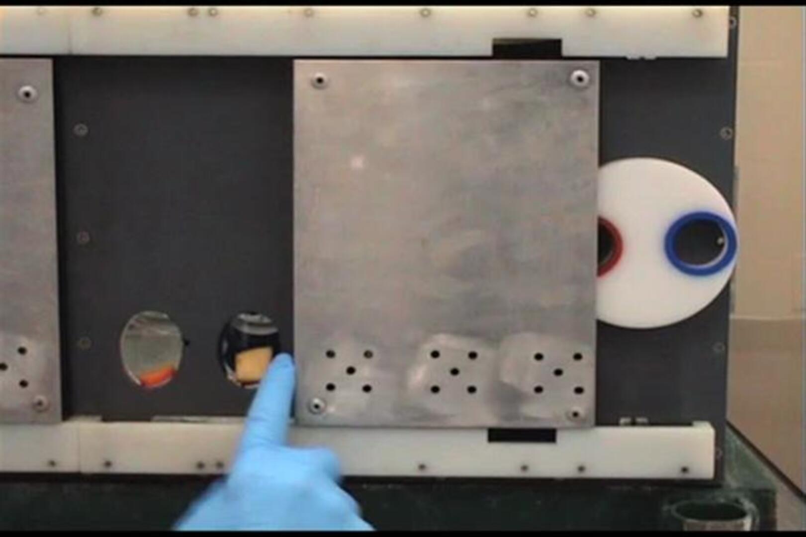 La diferencia entre un chimpancé y un niño de tres años