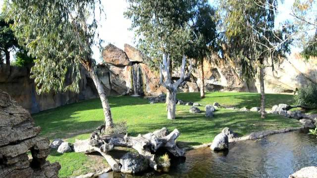 Imagen de una persona al cuidado de uno de los animales de Bioparc Valencia