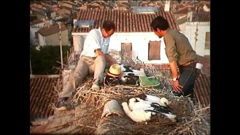 La carta a Franco que salvó Doñana de ser un secarral