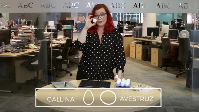 Las matemáticas que ocultan los huevos