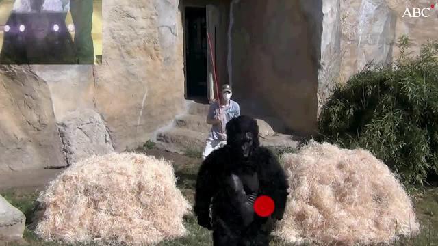 Los diez descubrimientos científicos más impactantes de 2016, según «Science»