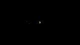 Juno envía la primera imagen de Júpiter desde su órbita