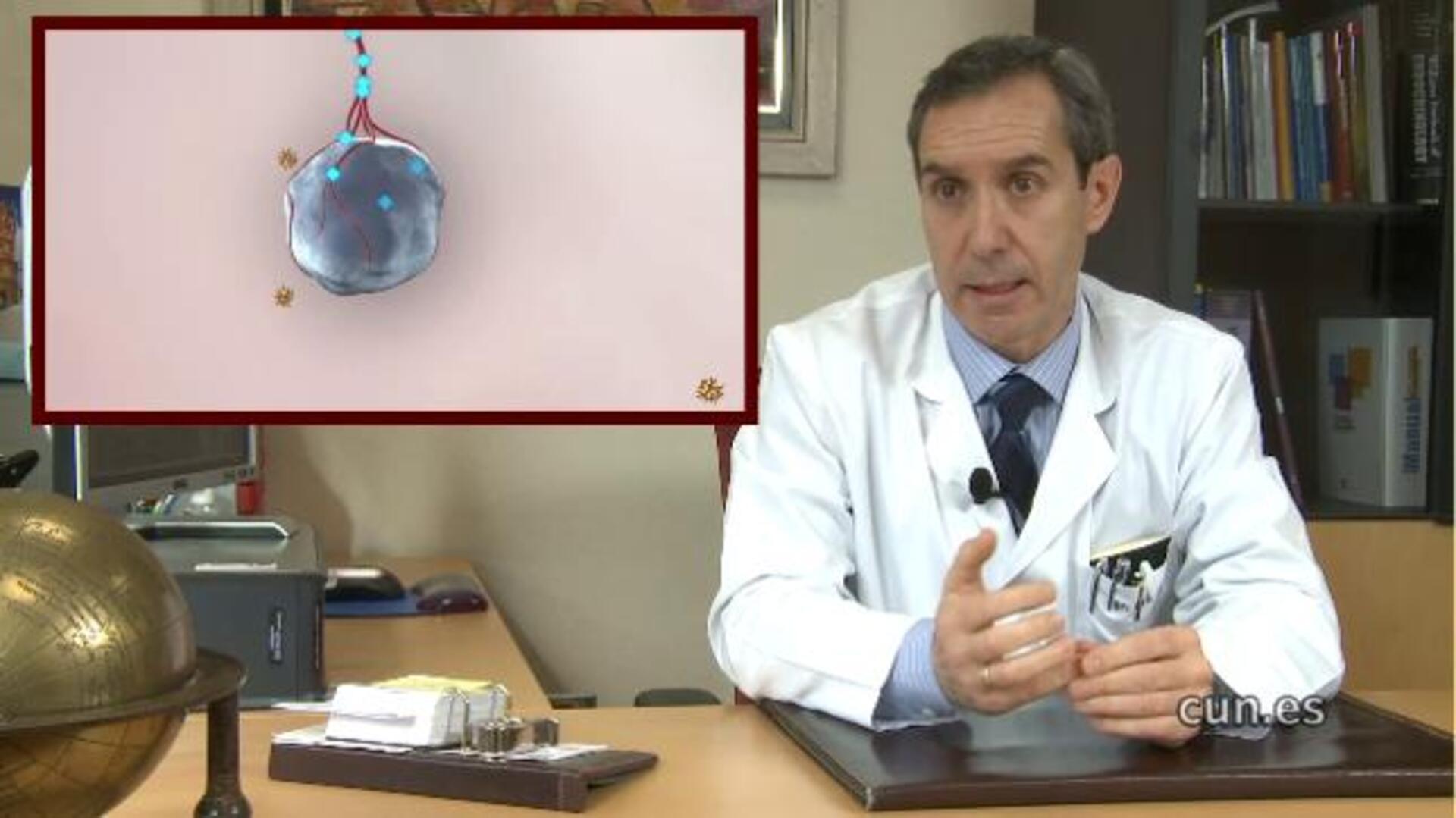 Un ensayo clínico comprobará la eficacia de células madre del propio paciente en diabetes tipo 1