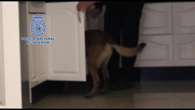 La Policía desmantela una organización multicultural de traficantes de droga en Valencia y Castellón