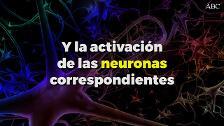 Cuidado, pasar mucho tiempo solo cambia el cerebro