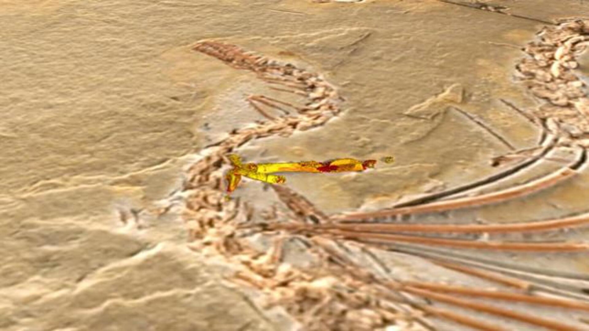 La serpiente que escondía una pata