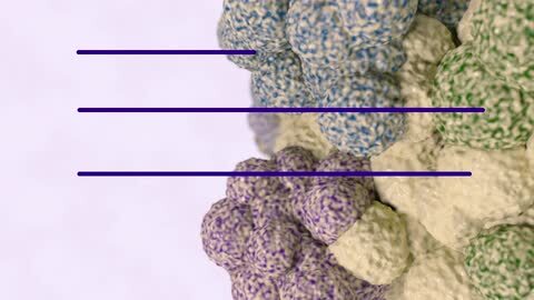 Nanoantígenos de un tumor