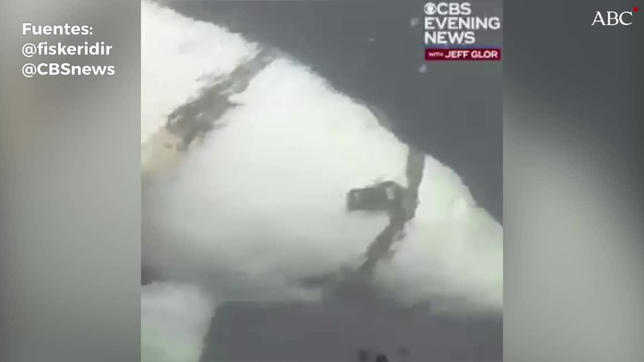 ¿Entrenó Rusia una beluga para hacer de espía en Escandinavia?