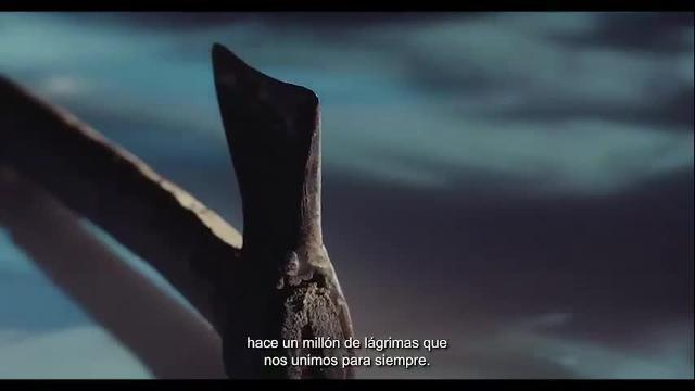 «Unidos venceremos al terror»: el vídeo con el que el Gobierno recuerda a Miguel Ángel Blanco