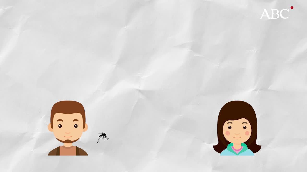 Cómo eligen los mosquitos a quién picar