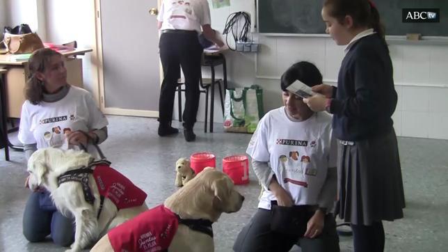 Aprender junto a tu mascota es mejor